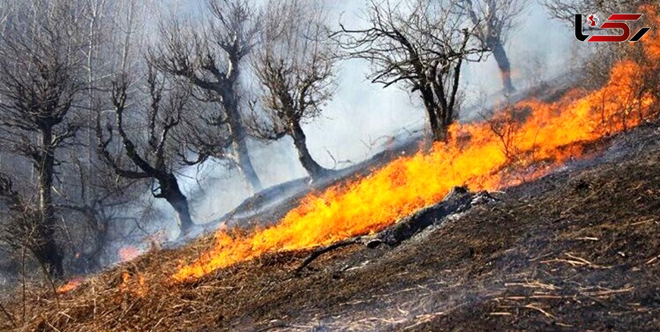 آتش سوزی در  منطقه حفاظت شده ماسوله به دلیل وزش باد گرم