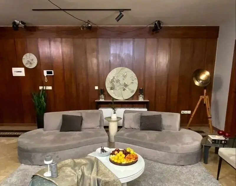 عکس/ نگاهی به چیدمان منزل مینیمالیستی امین زندگانی و الیکا عبدالرزاقی بازیگران خوش‌خنده جوکر/ از پرده‌ها و لوسترهای زیبا تا تابلوهای هنری
