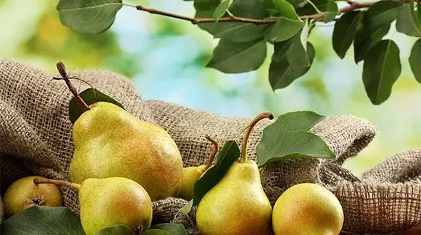 این میوه التیام زخم‌ها را تسریع می‌کند