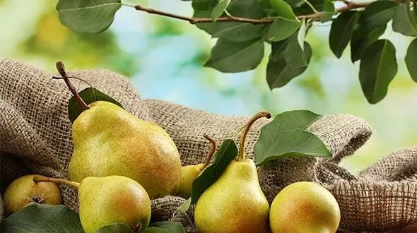 این میوه التیام زخم‌ها را تسریع می‌کند