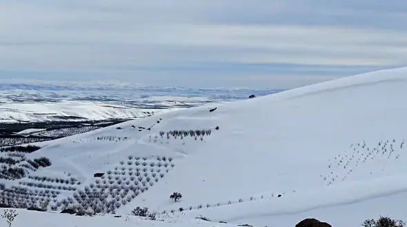 نمای برفی منطقه ینگجه مراغه / دامنه سهند