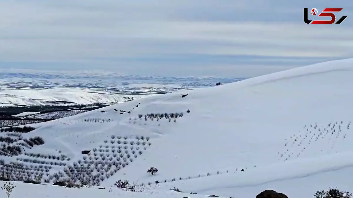 نمای برفی منطقه ینگجه مراغه / دامنه سهند