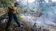 مهار 5 فقره آتش سوزی در جنگل های کهگیلویه و بویراحمد