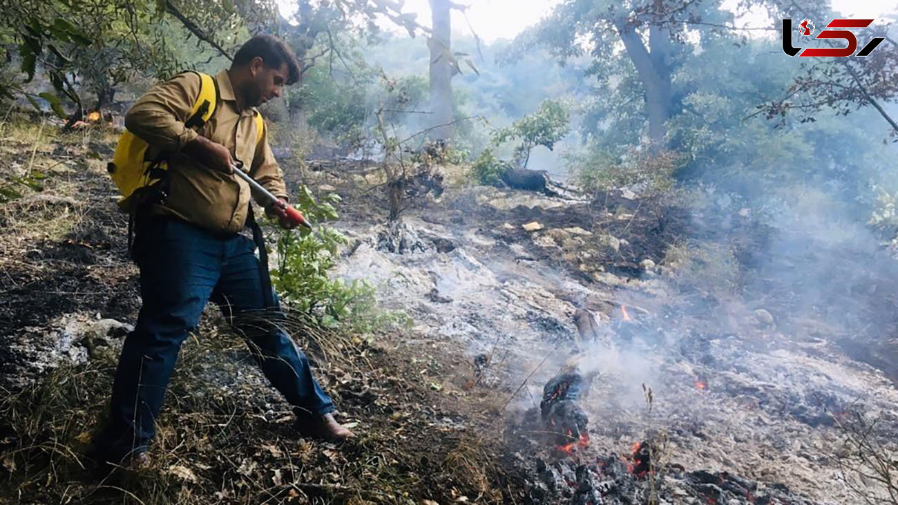 مهار 5 فقره آتش سوزی در جنگل های کهگیلویه و بویراحمد
