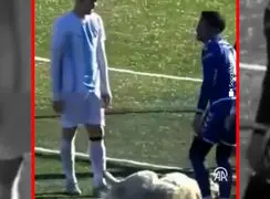 فیلم حضور غیرمنتظره سگ در زمین فوتبال