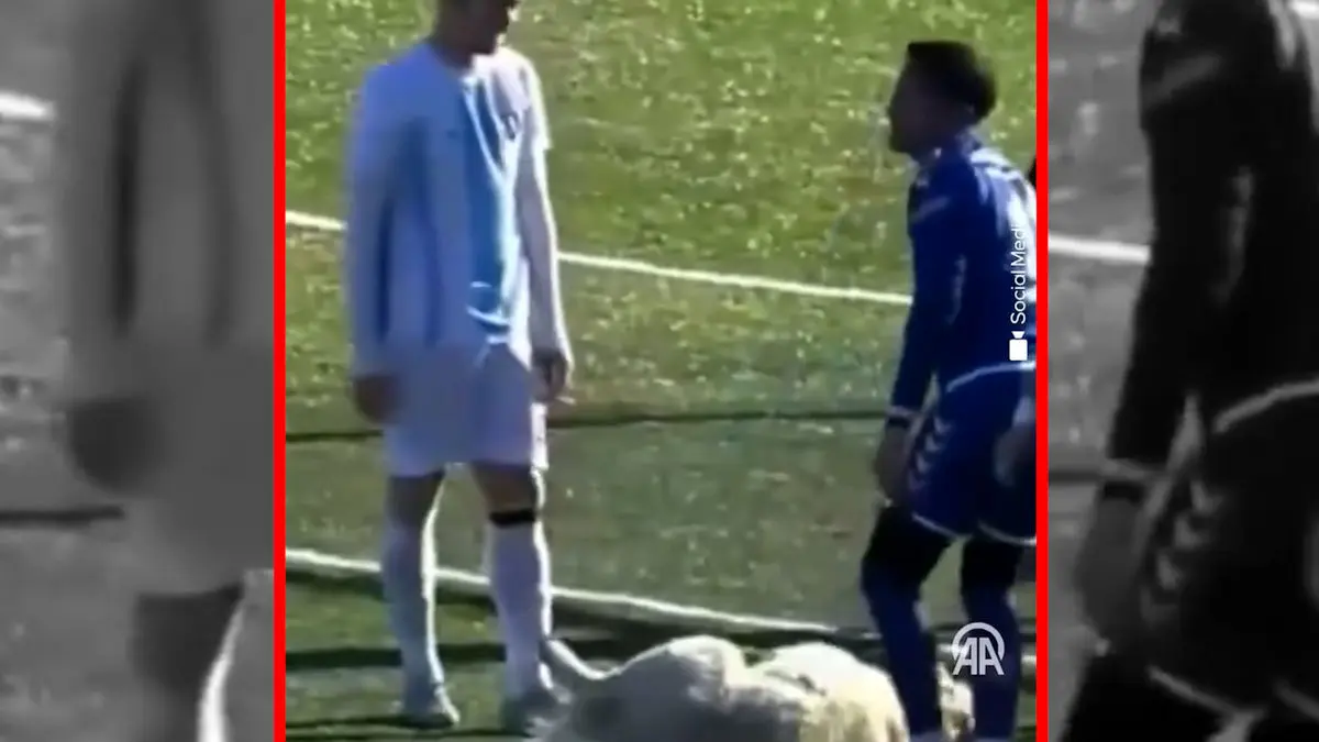 فیلم حضور غیرمنتظره سگ در زمین فوتبال