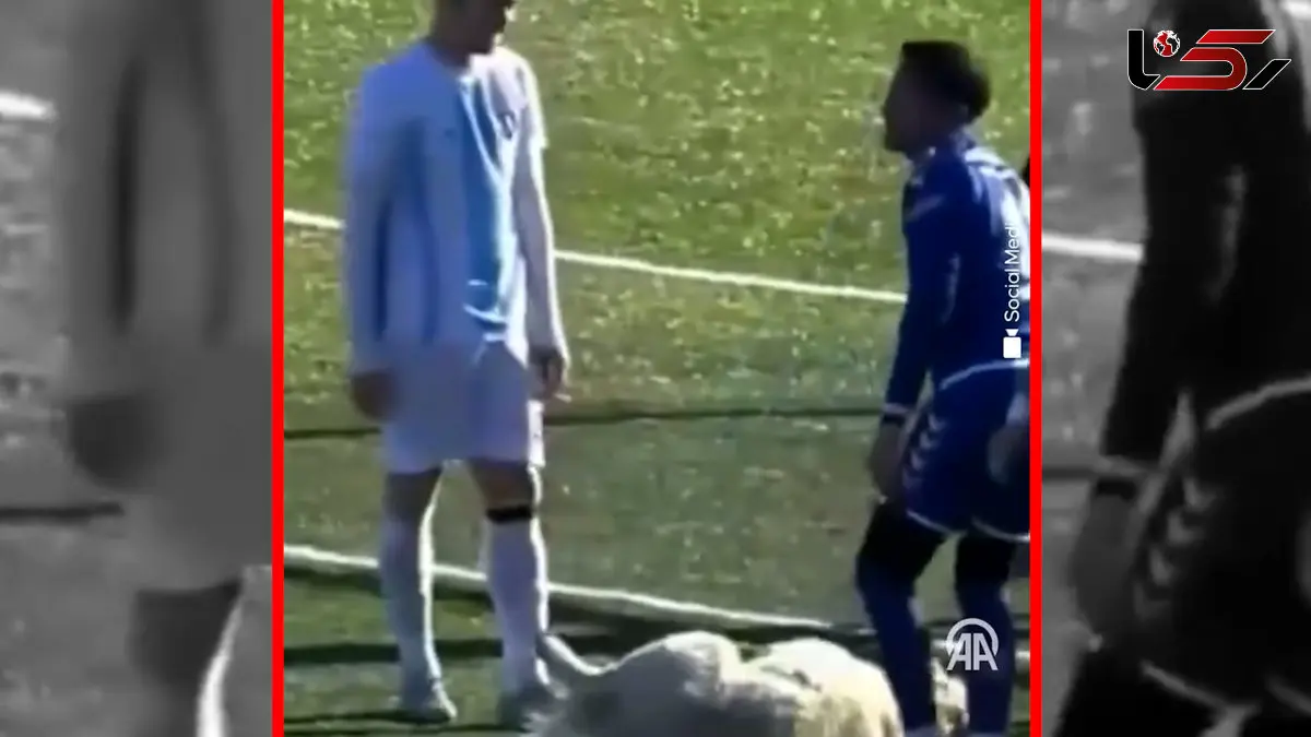 فیلم حضور غیرمنتظره سگ در زمین فوتبال