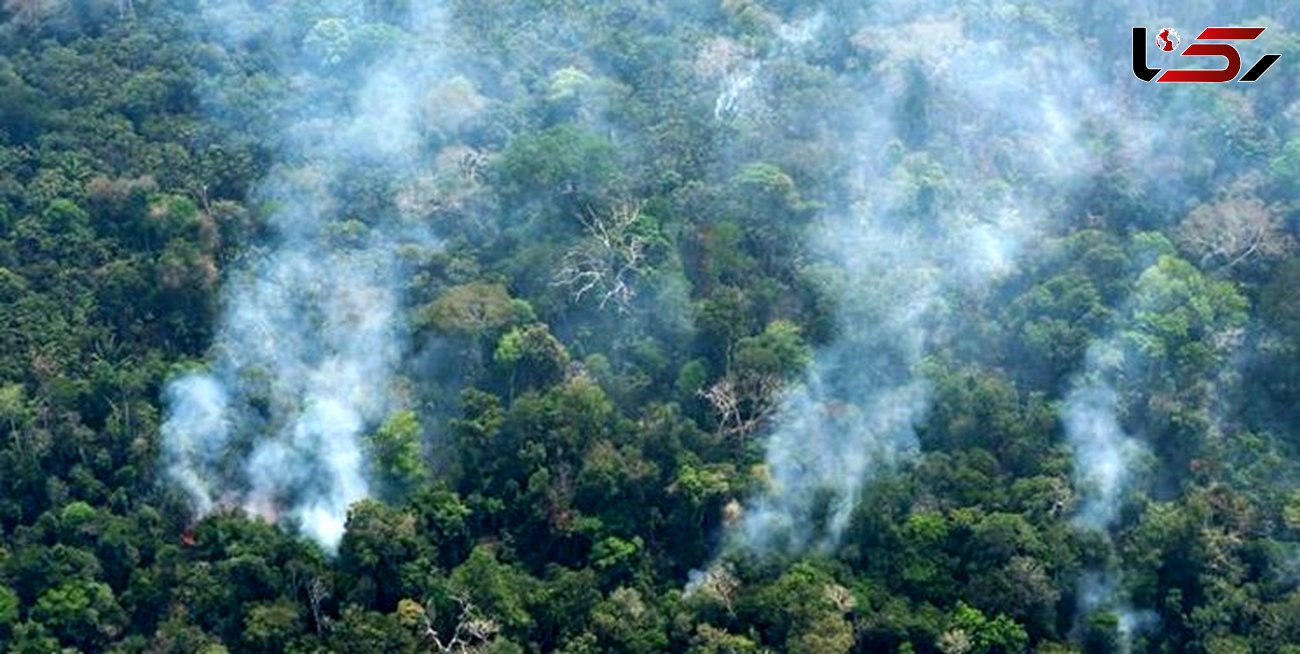 آتش سوزی اینبار در جنگل‌های سوادکوه