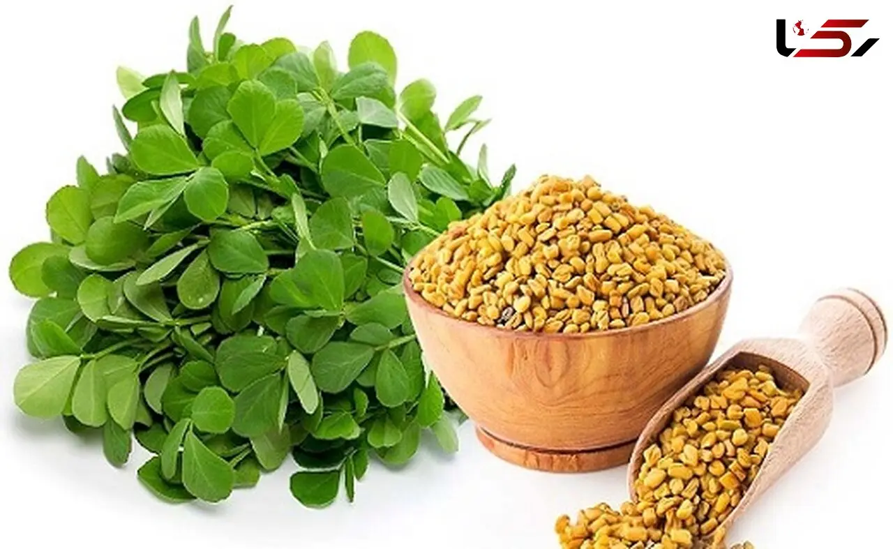 دیابتی ها این سبزی را جایگزین انسولین کنند+دستور تهیه شربت گیاهی