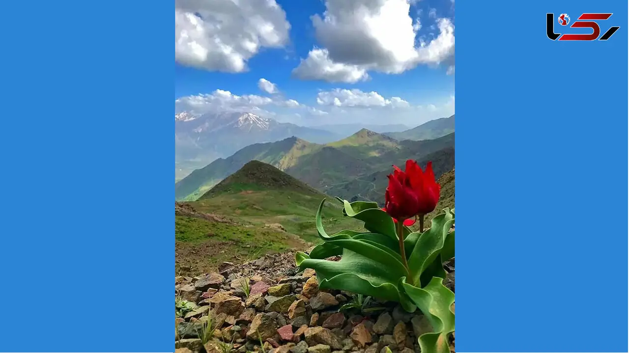 فال روزانه شخصی / 5خرداد ماه + فیلم