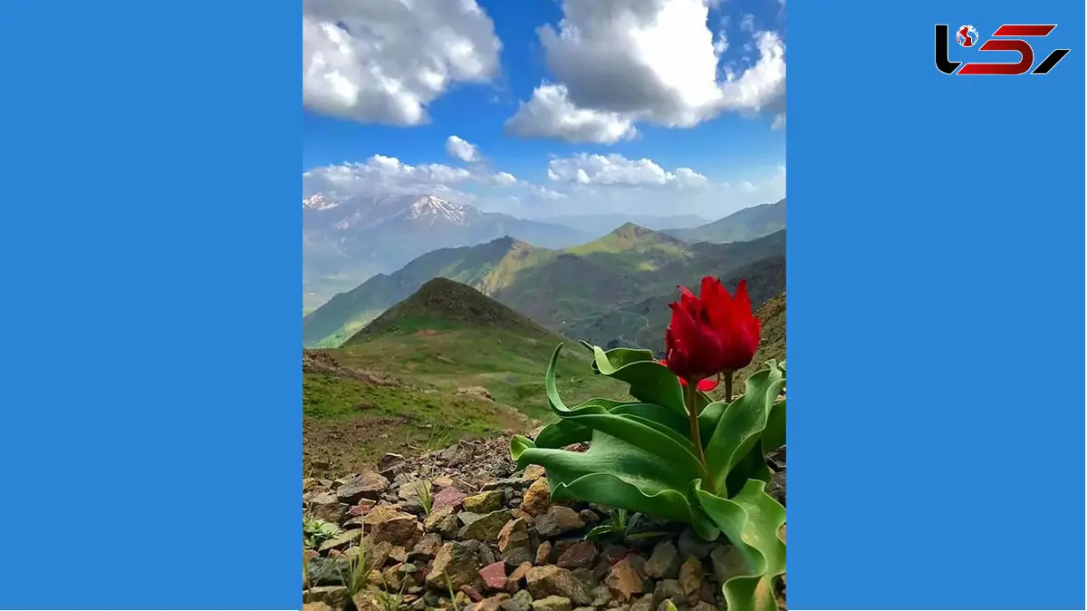 فال روزانه شخصی / 5خرداد ماه + فیلم