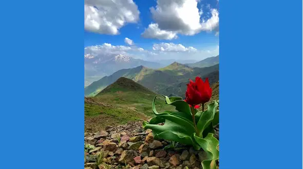 فال روزانه شخصی / 5خرداد ماه + فیلم