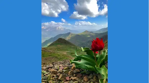 فال روزانه شخصی / 5خرداد ماه + فیلم