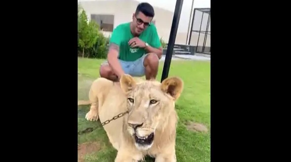 ببینید /  سعید عزت‌اللهی کنار یک شیر وحشی! + فیلم لاکچری بازی آقای فوتبالیست !