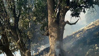 آتش سوزی در جنگل‌ها و مراتع کهگیلویه و بویراحمد