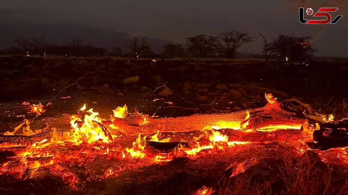 آیفون ۱۴ خانواده گرفتار در آتش سوزی را نجات داد !