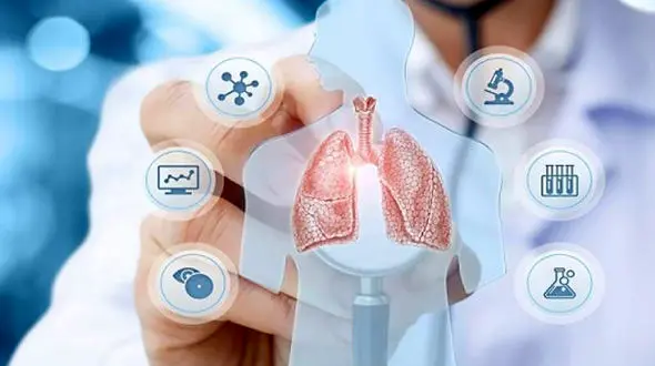 بهترین خوراکی ها برای تقویت ریه 