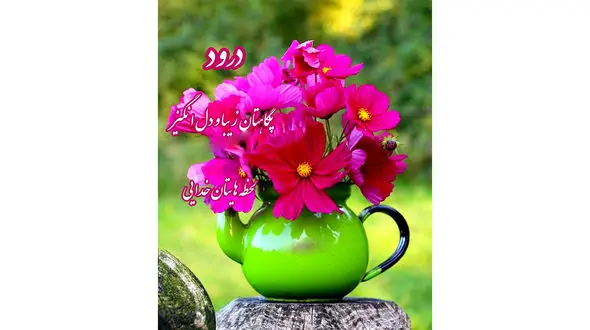 فال روزانه شخصی/ 7 شهریور ماه + فیلم