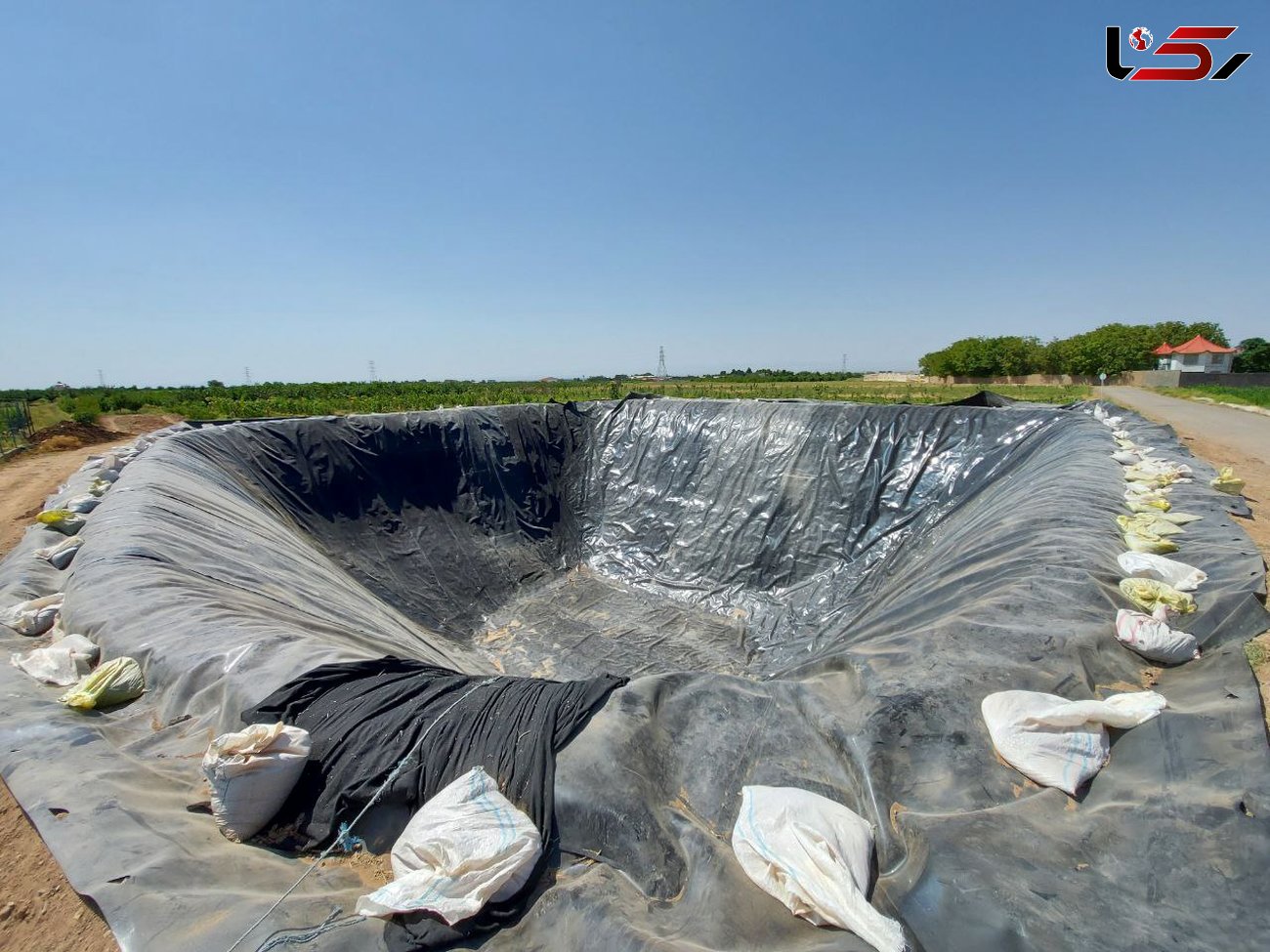 ۲۰درصد محصولات غله نیشابور بر اثر خشکسالی از بین رفت