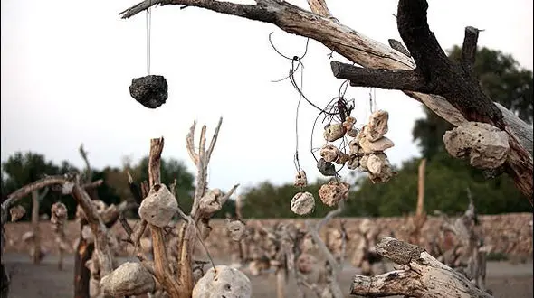 حکایت باغی با میوه های سنگی / درویش خان راز باغ را با خود برد +تصاویر