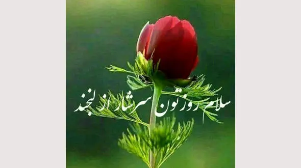 فال روزانه شخصی / 17 شهریور ماه + فیلم