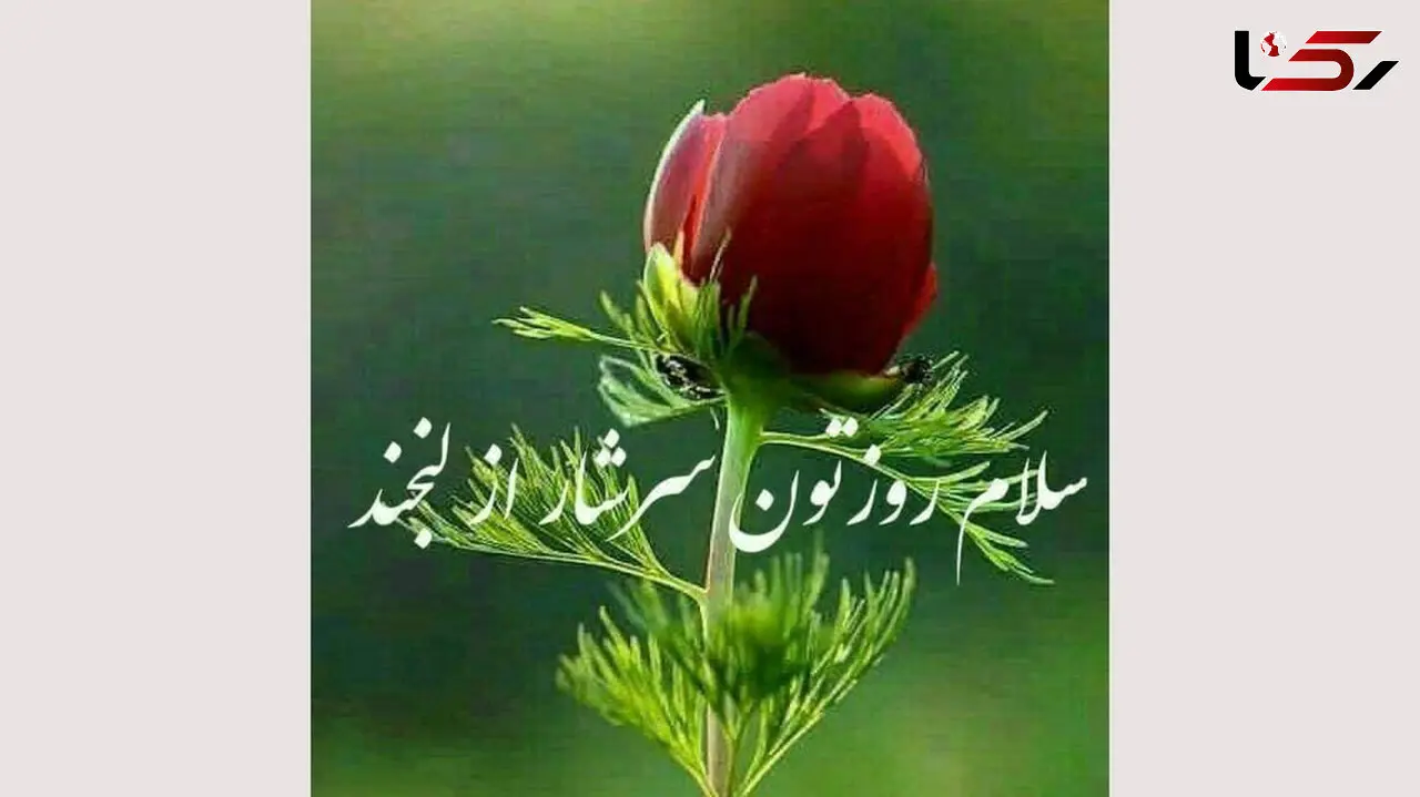 فال روزانه شخصی / 17 شهریور ماه + فیلم