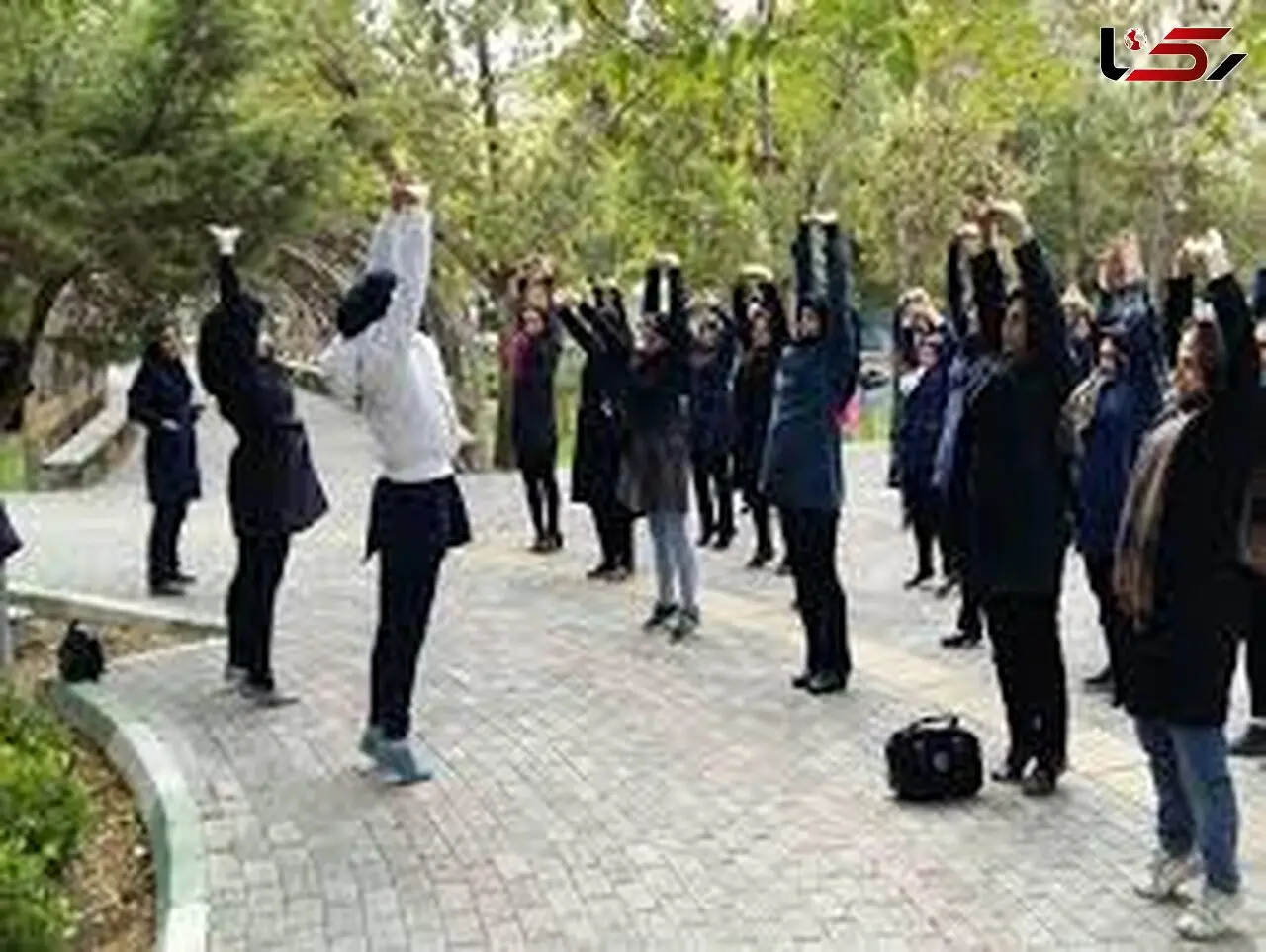کم تحرکی، مهمترین خطر قابل اصلاح در بیماری های مزمن غیرواگیر/ این مطلب را خانم ها بخوانند!