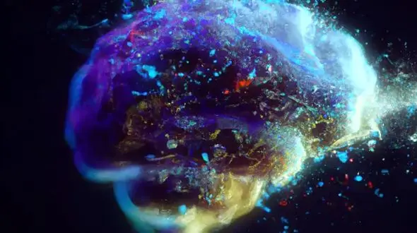 رمزگشایی از مغز انسان: تفاوت رویا با واقعیت چگونه تشخیص داده می‌شود؟