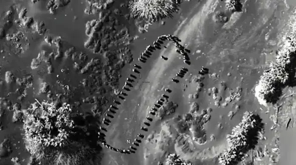 حمله پهپادی به حوثی‌ها؛ ویدئو ترامپ خبرساز شد + فیلم