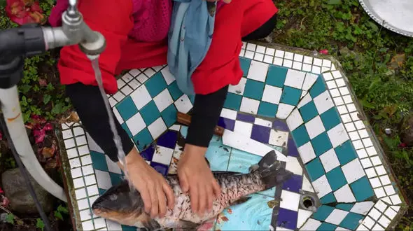 طرز تهیه کباب ماهی در سفال و در طبیعت گیلان / فیلم