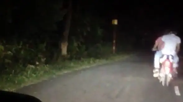 حمله وحشتناک ببر به 2  موتور جوان +فیلم