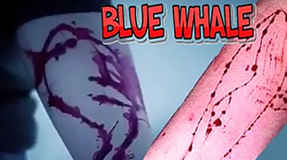 بازی اینترنتی  خودکشی نوجوان را رقم زد