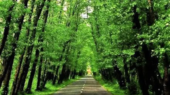 قوی بودن یعنی ...