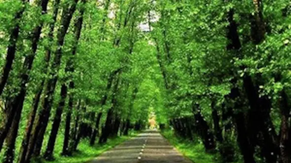 قوی بودن یعنی ...