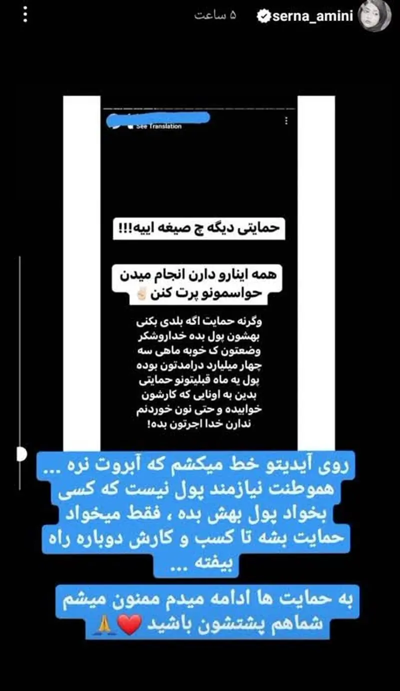 سرنا امینی
