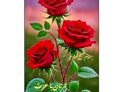 فال و طالع بینی امروز 27 آبان 