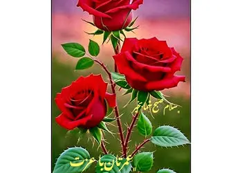 فال و طالع بینی امروز 21 آبان 