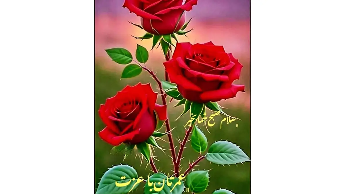 فال و طالع بینی امروز 21 آبان