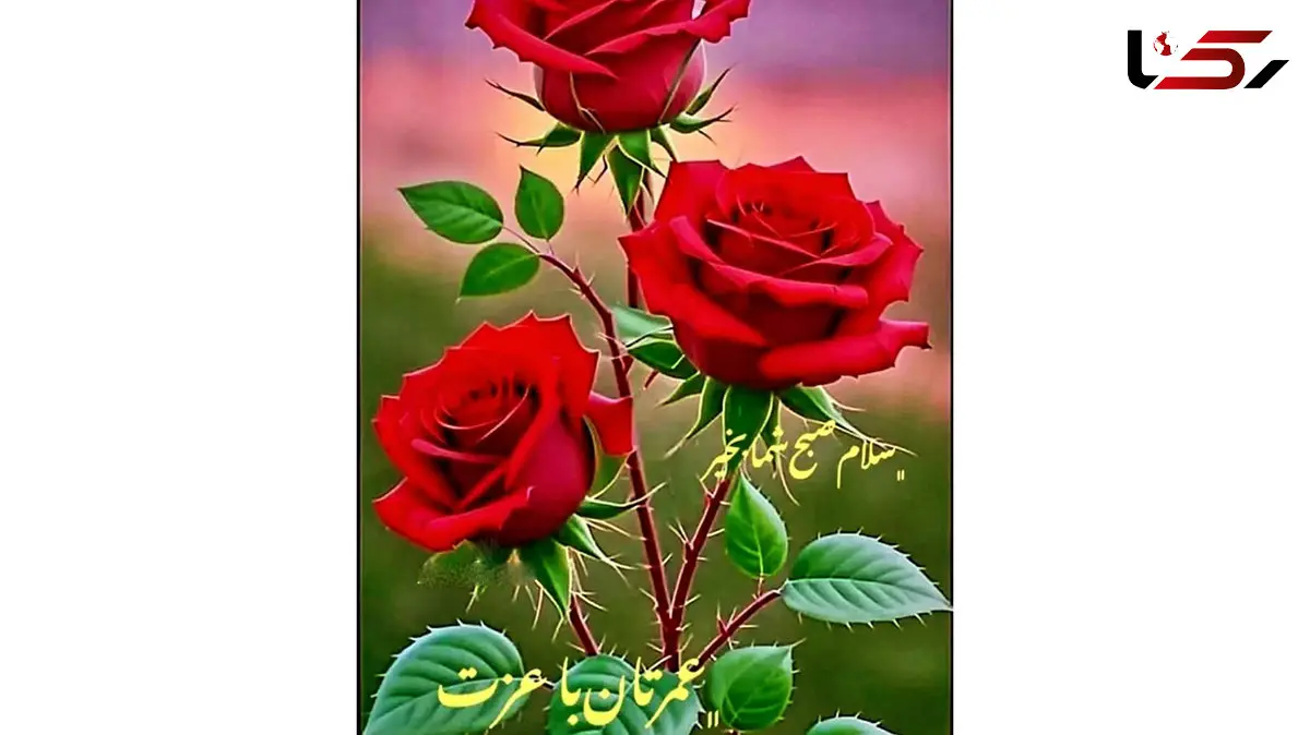 فال و طالع بینی امروز 21 آبان 