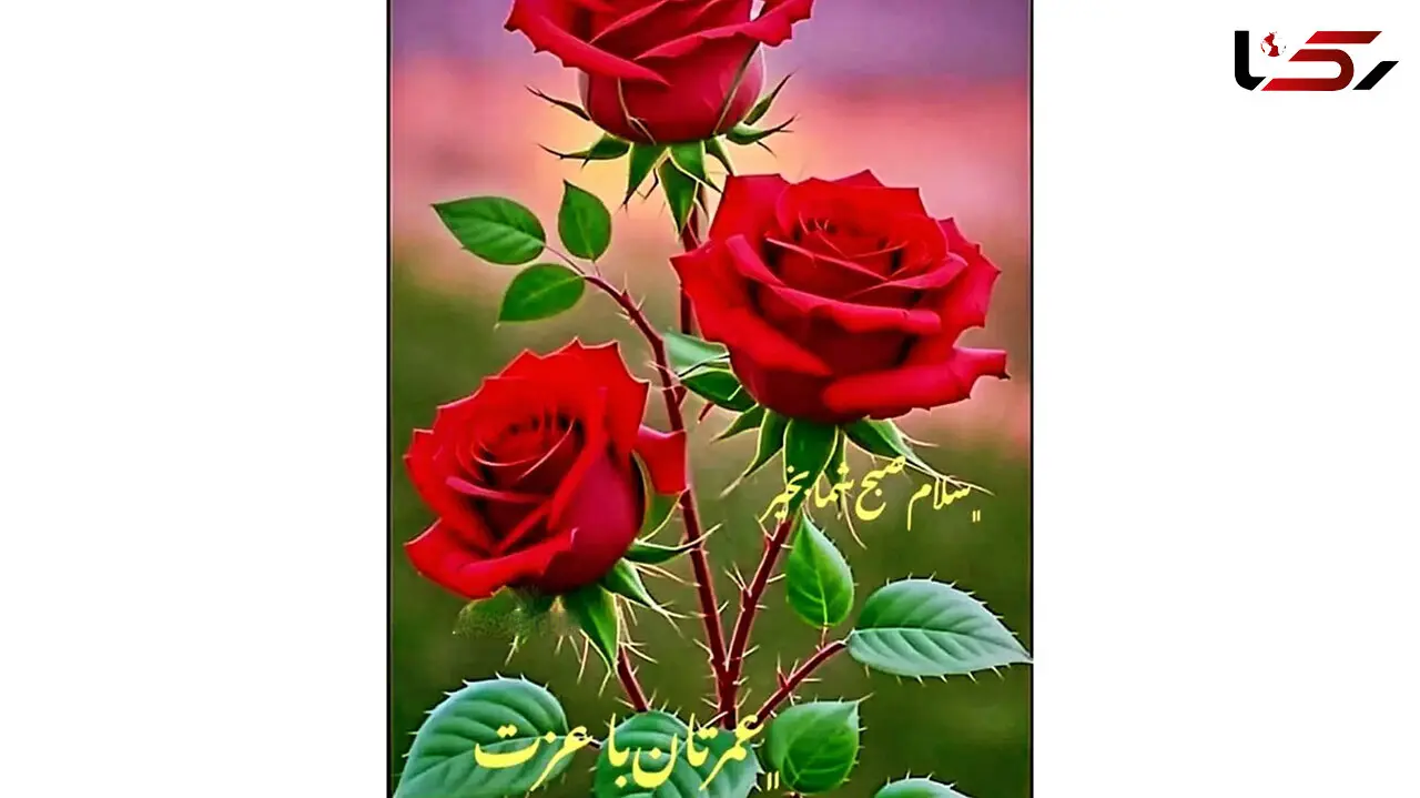 فال و طالع بینی امروز 21 آبان 