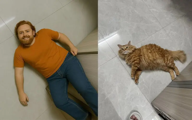 تبدیل عکس گربه خوابیده روی زمین به مرد با هوش مصنوعی چت جی پی تی