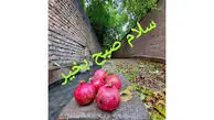 فال و طالع بینی امروز 7 تیر ماه 1405