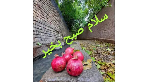 فال و طالع بینی امروز 7 تیر ماه 1405