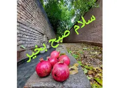 طالع بینی امروز 18 آذر برای متولدین هر ماه چیست؟