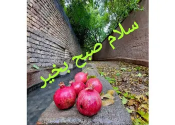 طالع بینی امروز 18 آذر برای متولدین هر ماه چیست؟