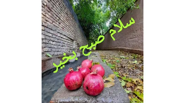 فال و طالع بینی امروز 7 تیر ماه 1405