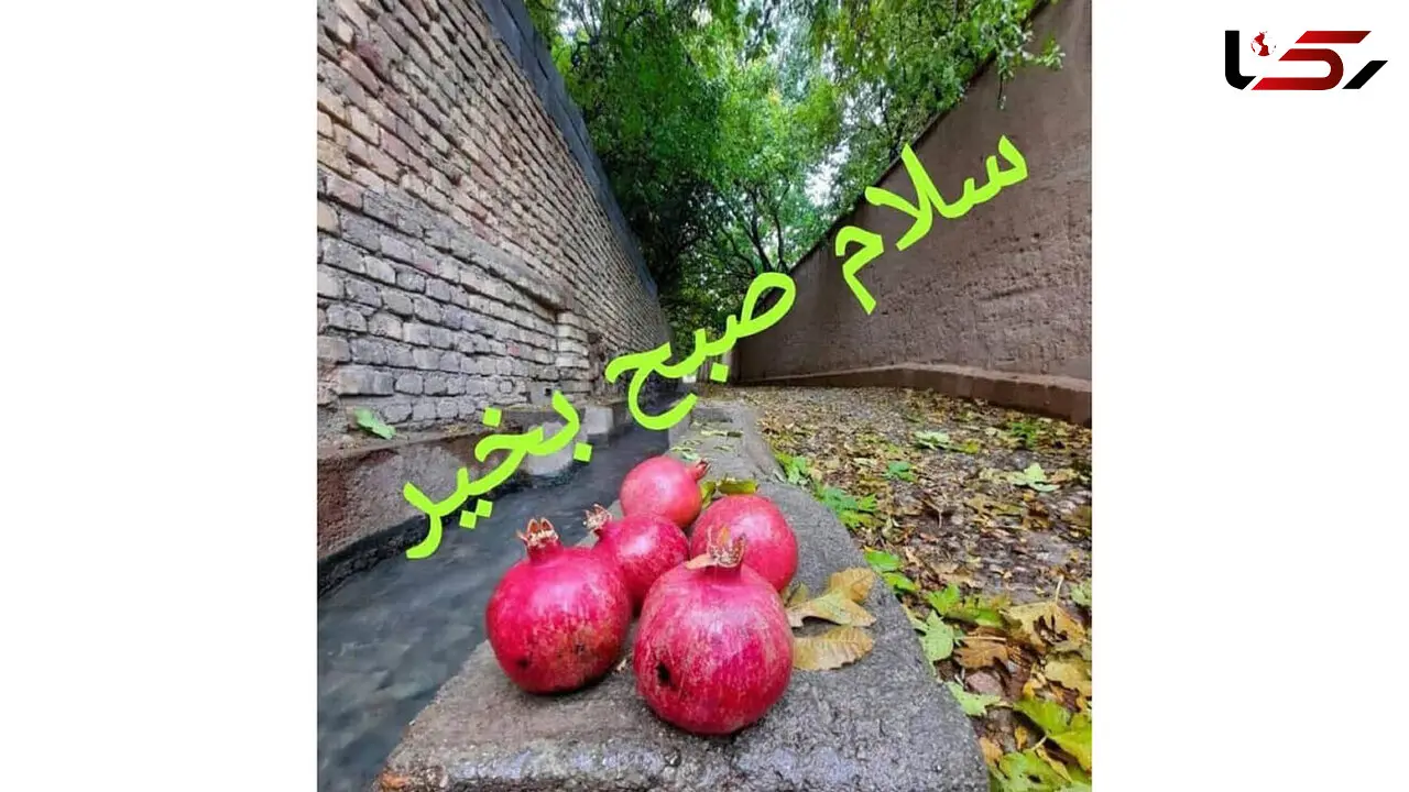 طالع بینی امروز 18 آذر برای متولدین هر ماه چیست؟