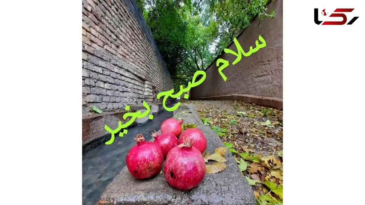 طالع بینی امروز 18 آذر برای متولدین هر ماه چیست؟