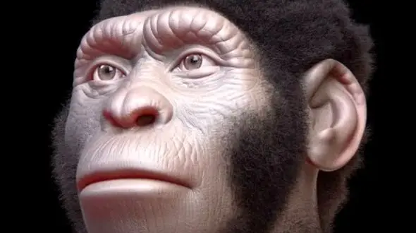 راز دفن مردگان توسط انسان‌ نماها 120 هزار سال پیش فاش شد!