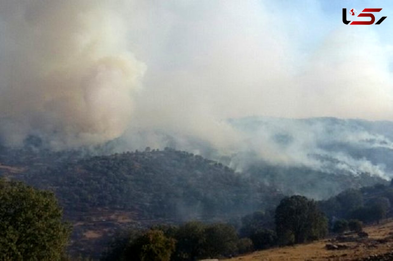 آتش سوزی در 4 هکتار از جنگل های ناودار گیلانغرب